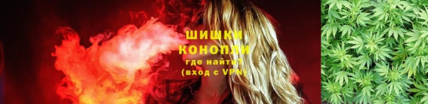сатива Аркадак