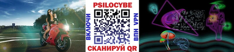 hydra вход  площадка формула  Псилоцибиновые грибы Psilocybe  Светлоград 